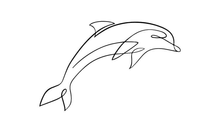 Dolphin Line Drawing