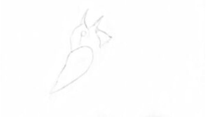 How To Draw A Sparrow Step1