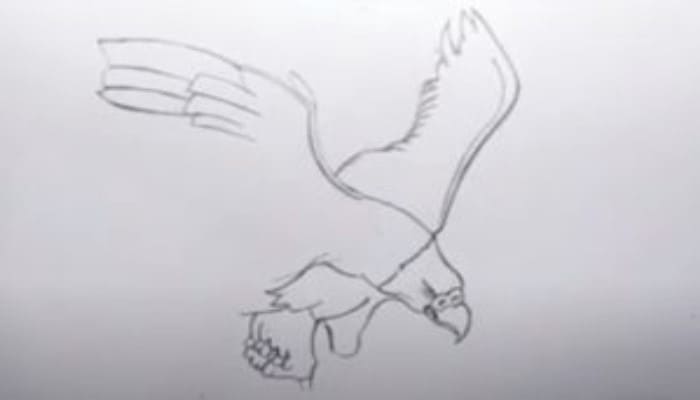 How To Draw An Eagle Step2