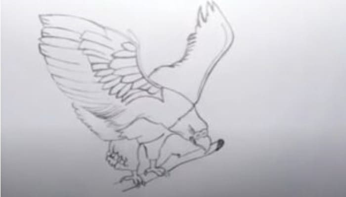How To Draw An Eagle Step4