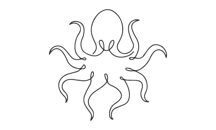 Octopus Line Drawing