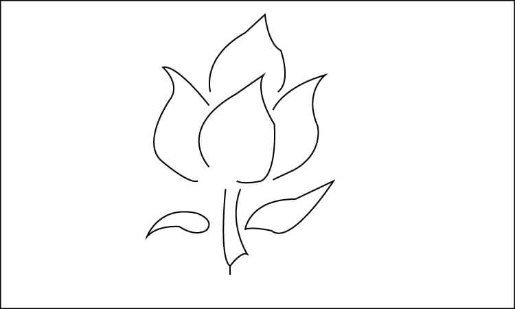 Poppy Flower Line Drawing