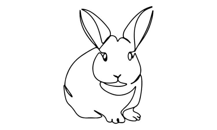 Rabbit Line Drawing
