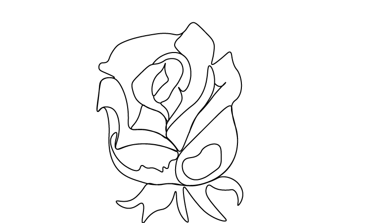 How to draw rose