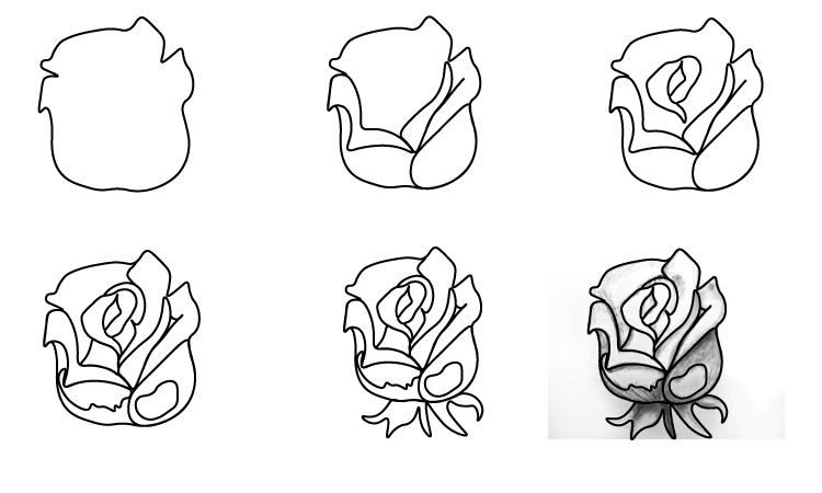 Draw rose step by step