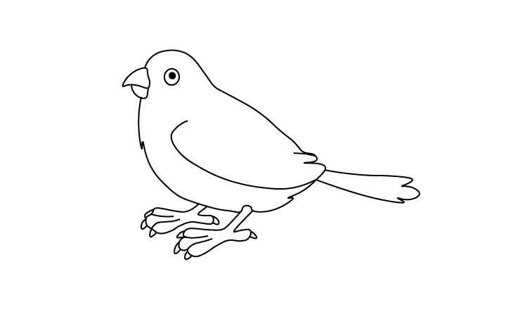  Simple Sparrow bird line drawing