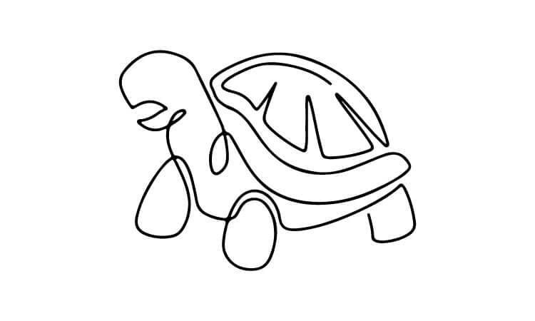 Turtle Line Drawing