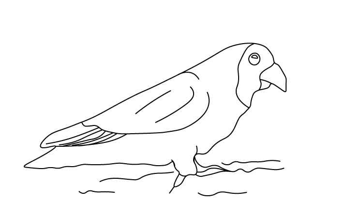 Sparrow drawing for kids