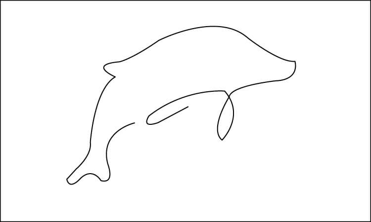 Dolphin Line Drawing