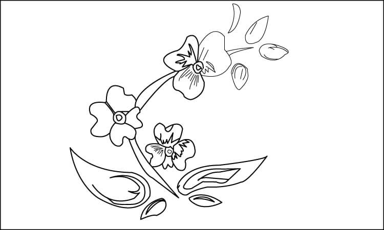Easy Flower drawing