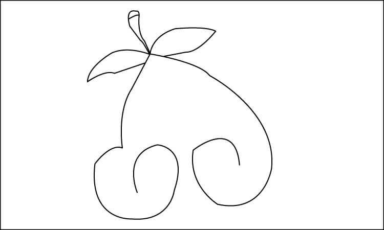 Fruit Line Drawing