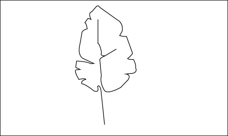 Leaf Line Drawing