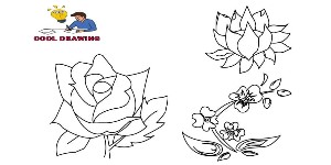 You are currently viewing Out line Drawing Flowers – Step By Step Process