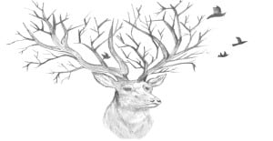 You are currently viewing How to Draw a Deer – Step By Step Tutorial