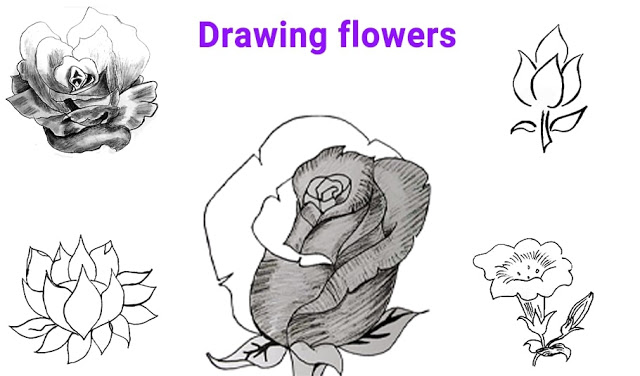 How To Draw Flowers