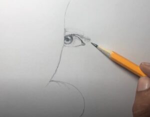 pencil drawing face