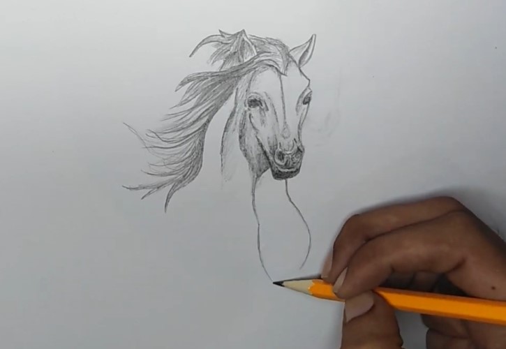 How to Draw a Horse - Step By Step - Cool Drawing Idea