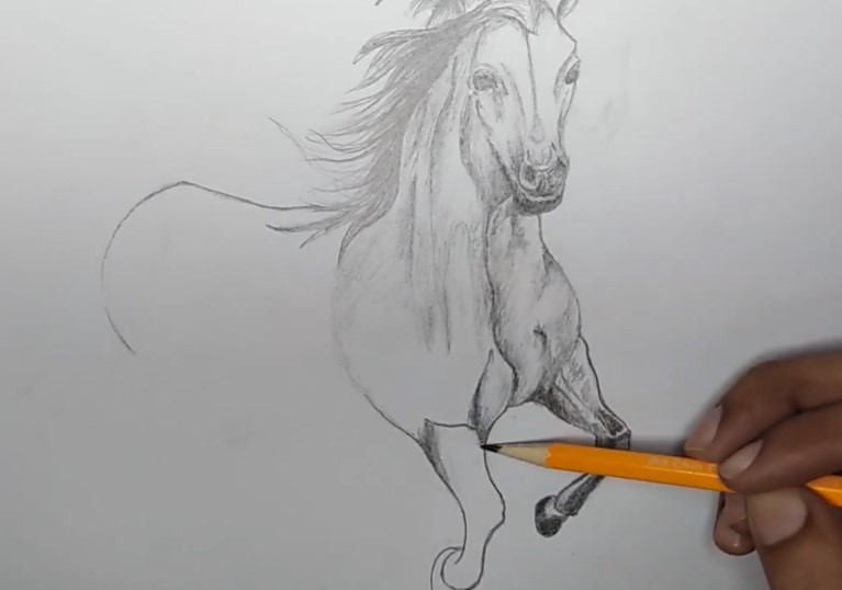 How to Draw a Horse - Step By Step - Cool Drawing Idea