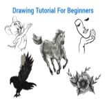 Easy Drawing Tutorials For Beginners With Pencil Step By Step