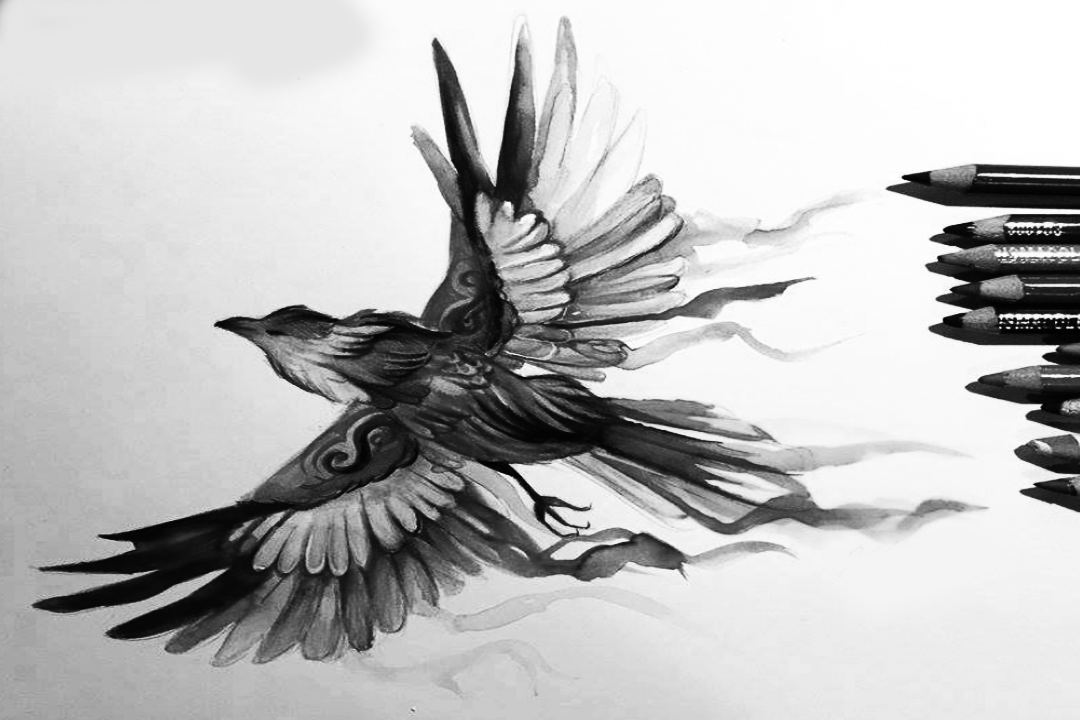 Creative Bird Drawing