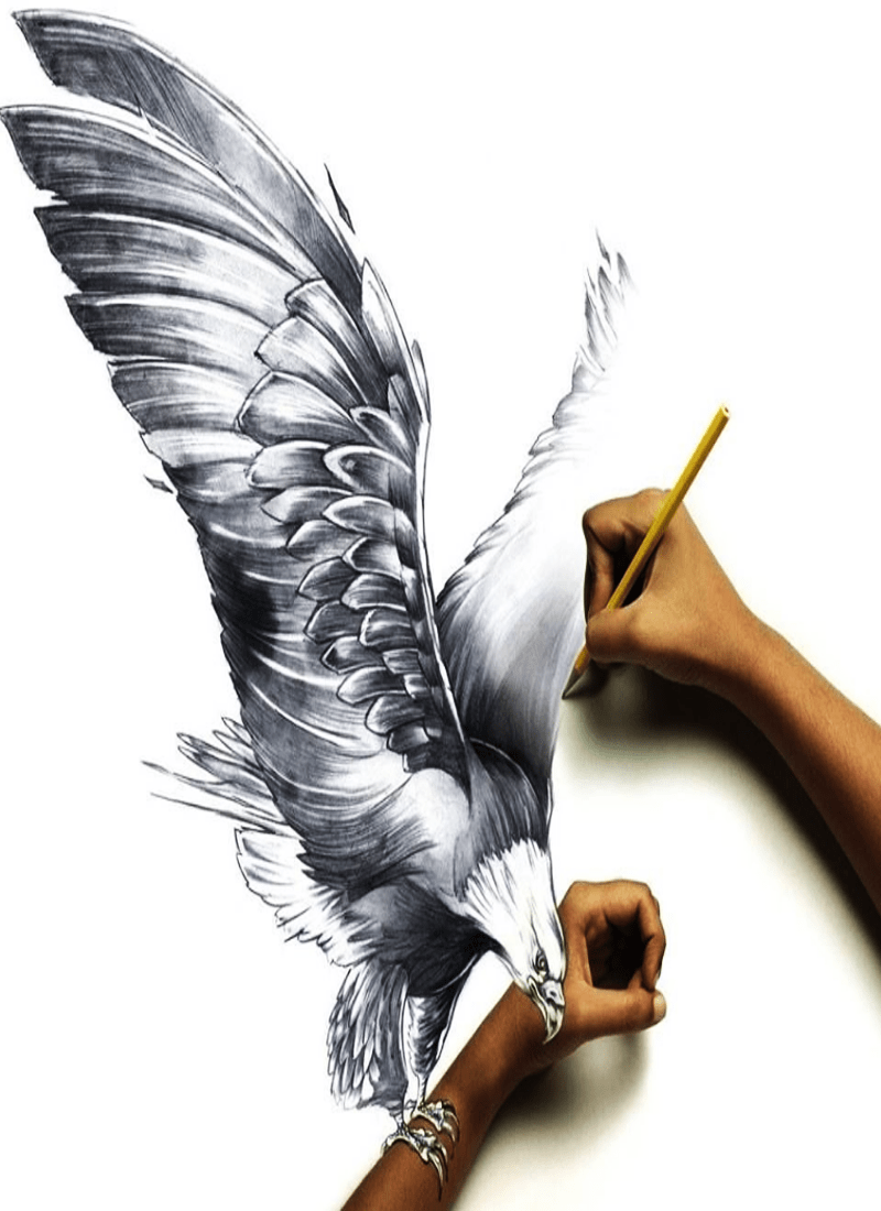 Creative Eagle Drawing
