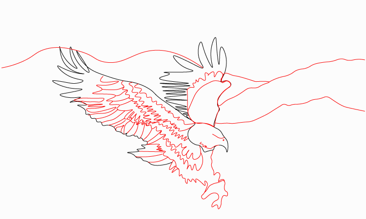 Eagle drawing 
