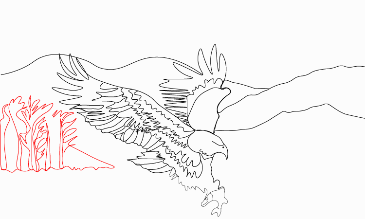 Eagle drawing for kids