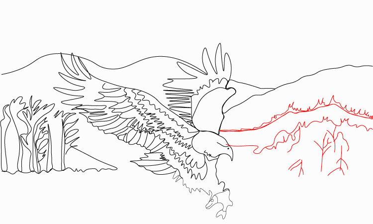 Eagle drawing easy