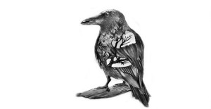 You are currently viewing How To Draw A Bird – Easy Step By Step