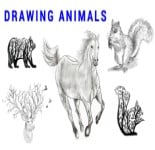 10 Cute Animal Drawings - Step By Step - Cool Drawing Idea