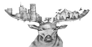 You are currently viewing How To Draw Creative Deer – Step By Step Drawing