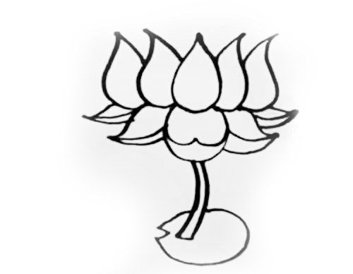 Draw lotus flower Cool Drawing Idea