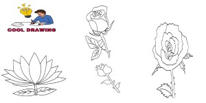 You are currently viewing How To Draw Flowers – Step By Step