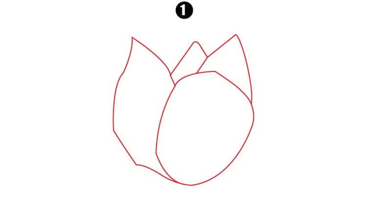 Lotus Drawing Step1