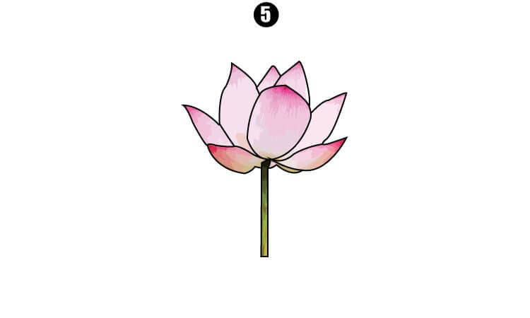 Free Vector | Hand drawn mandala lotus flower drawing-saigonsouth.com.vn