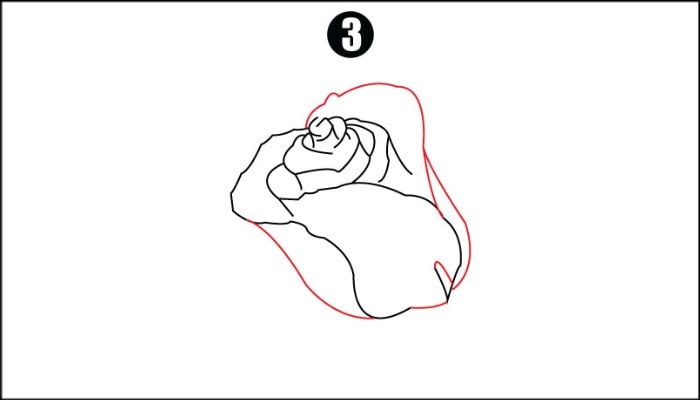Drawing Rose Flower step3