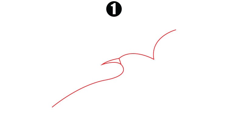 Drawing of Eagle step1