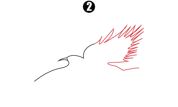 Drawing of Eagle step2
