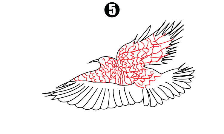 Drawing of Eagle step5