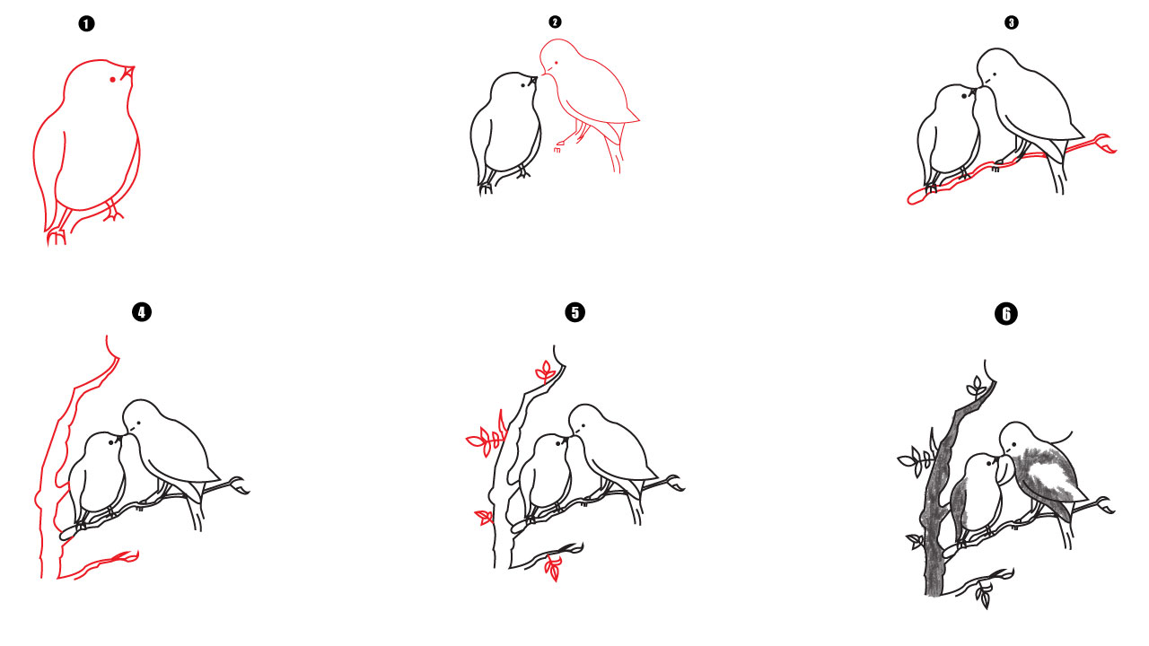 Easy Birds Drawing step by step