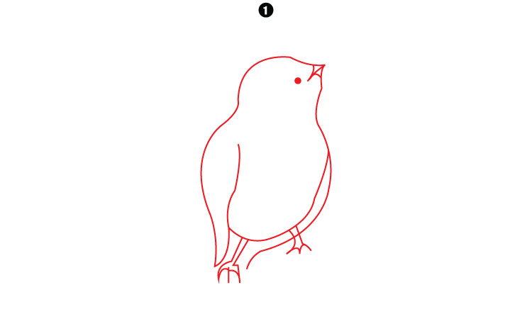 Easy Birds Drawing step1