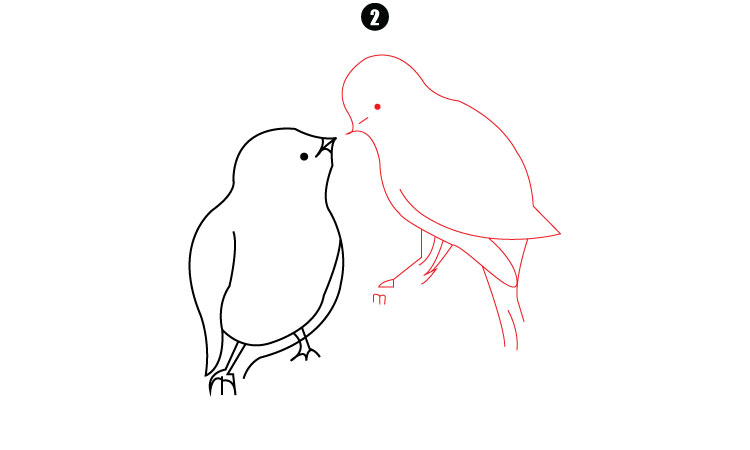Easy Birds Drawing step2