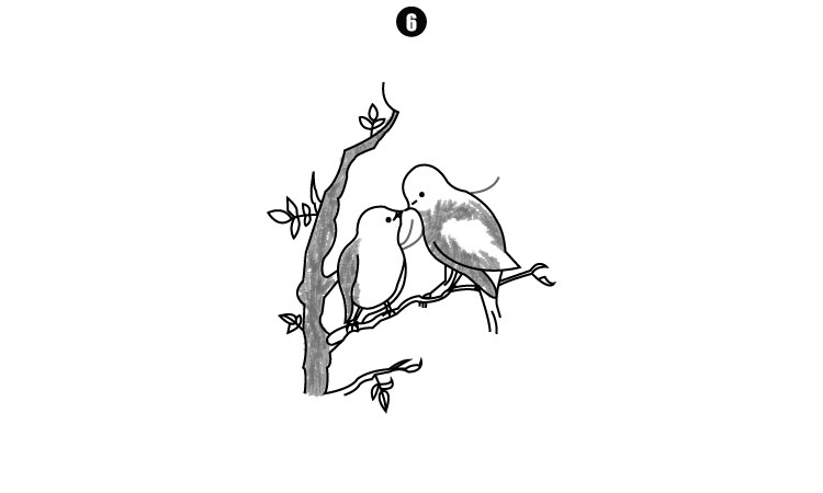 Easy Birds Drawing step6