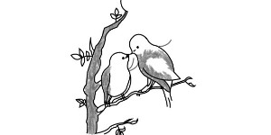 Read more about the article Easy Birds Drawing – Easy Drawing