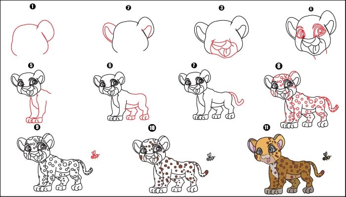 How To Draw Tiger step by step