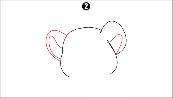How To Draw Tiger step2