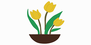 Read more about the article How To Draw Tulip Flower – Step By Step