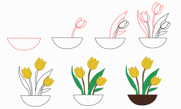 Tulip Drawing for kids