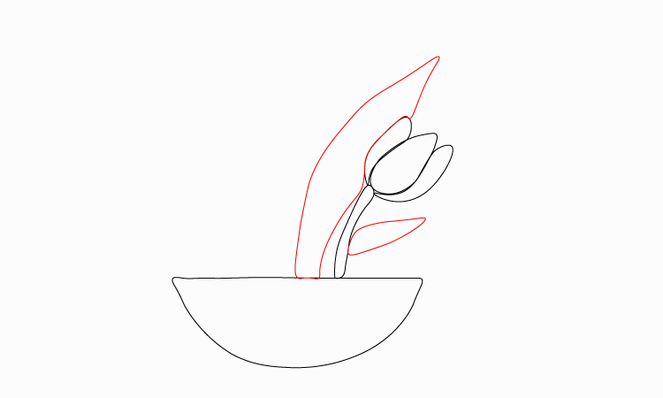 Tulip Drawing step 3