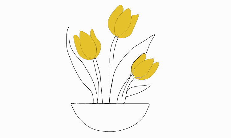 Tulip Drawing step 5